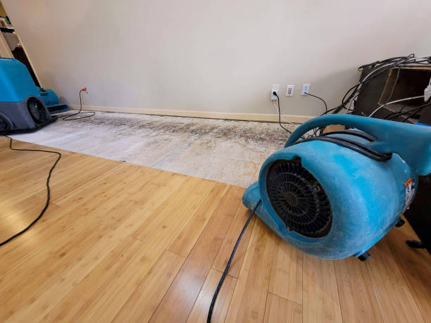 Professional Structural Drying technician working in Victor, CA